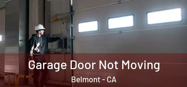  Garage Door Not Moving Belmont - CA