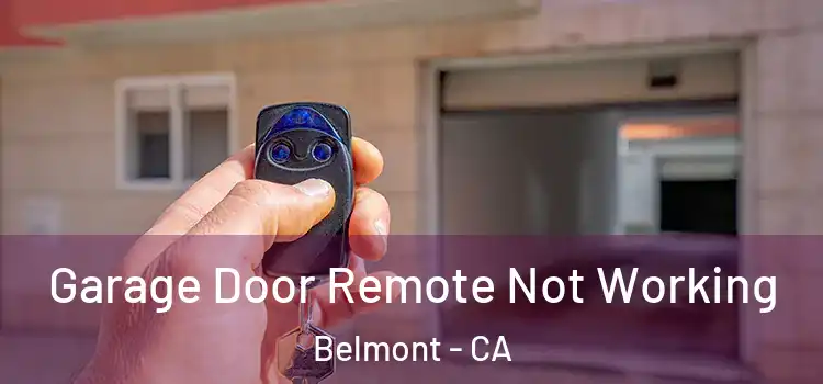  Garage Door Remote Not Working Belmont - CA