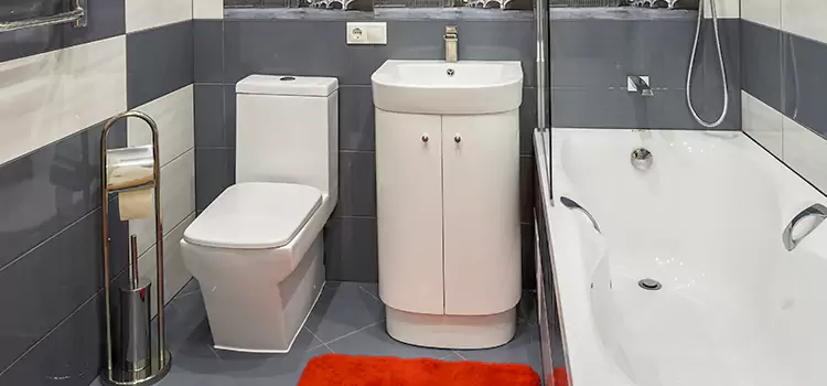 Hansgrohe Shaving Mirror Belmont